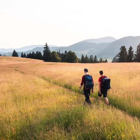 Daire Almgasthaus Knoepflesbrunnen Fuenfbettzimmer